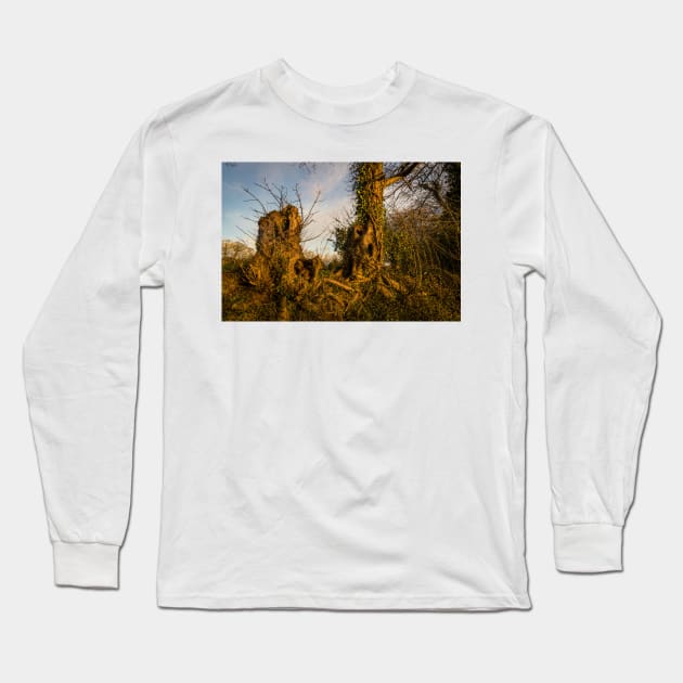 Crooked Forest - 2011 Long Sleeve T-Shirt by SimplyMrHill